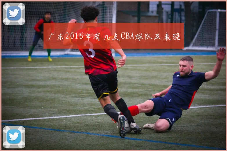 广东2016年有几支CBA球队及表现