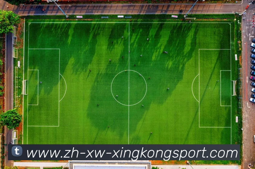 星空体育平台生态图